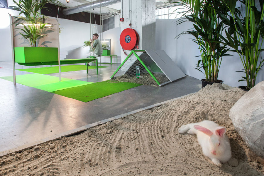 徐匯區(qū)120平綠調(diào)休閑辦公室裝修設計-第5張圖片-上海古都建筑設計集團 徐匯區(qū)120平綠調(diào)休閑辦公室裝修設計-第5張圖片-上海古都建筑設計集團