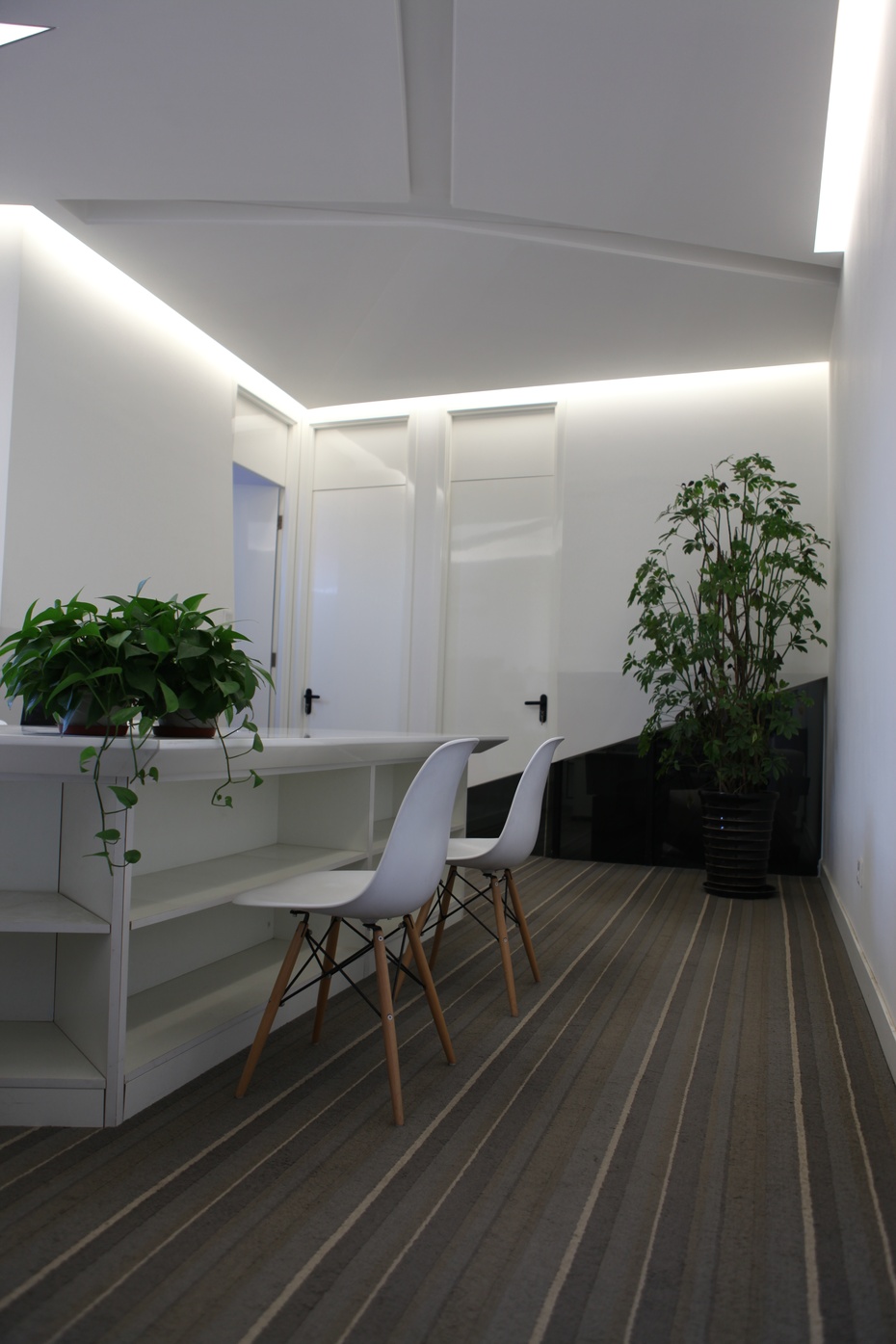 上海辦公室裝修公司綠植擺放設(shè)計-第3張圖片-上海古都建筑設(shè)計集團(tuán) 上海辦公室裝修公司綠植擺放設(shè)計-第3張圖片-上海古都建筑設(shè)計集團(tuán)