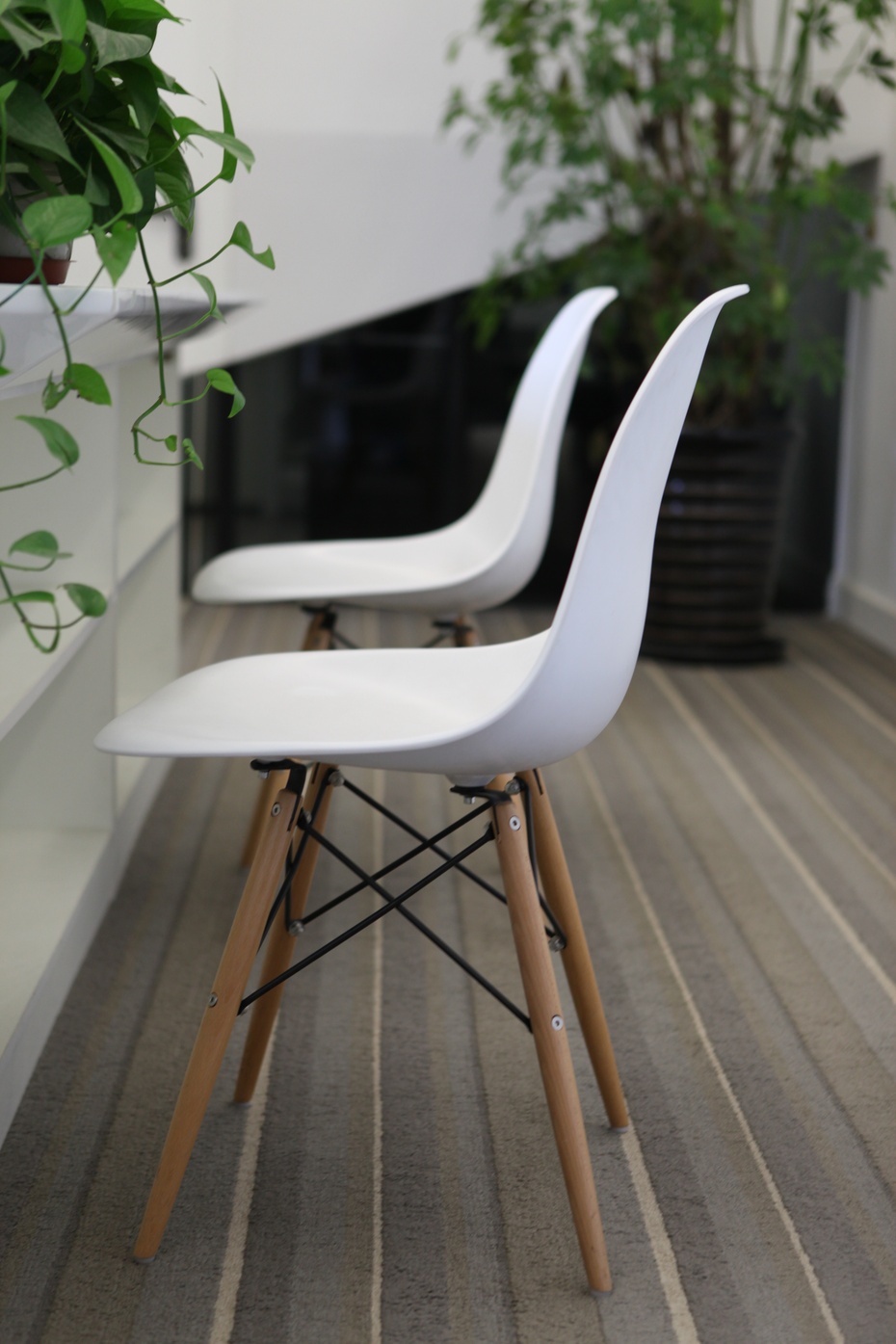 上海辦公室裝修公司綠植擺放設(shè)計-第6張圖片-上海古都建筑設(shè)計集團(tuán) 上海辦公室裝修公司綠植擺放設(shè)計-第6張圖片-上海古都建筑設(shè)計集團(tuán)